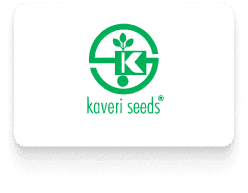 Client Kaveri seeds logo