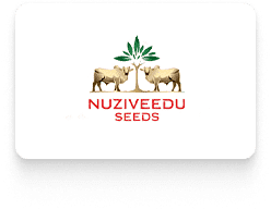 Client Nuziveedu seeds logo