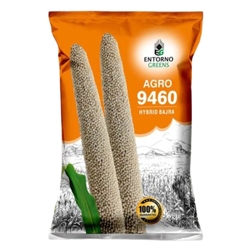 Bajra Seeds web image