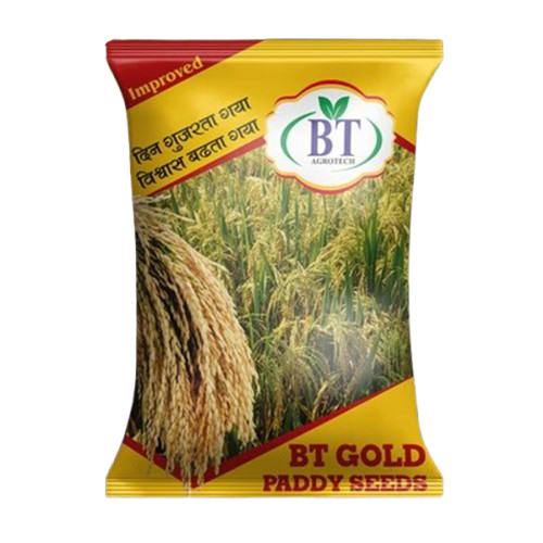 Paddy Seeds web image