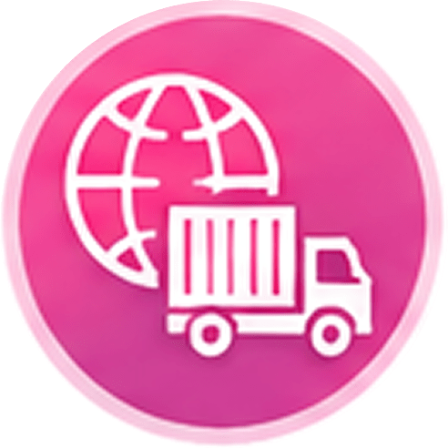 Export Packaging Solutions