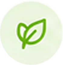 Sustainable Options
